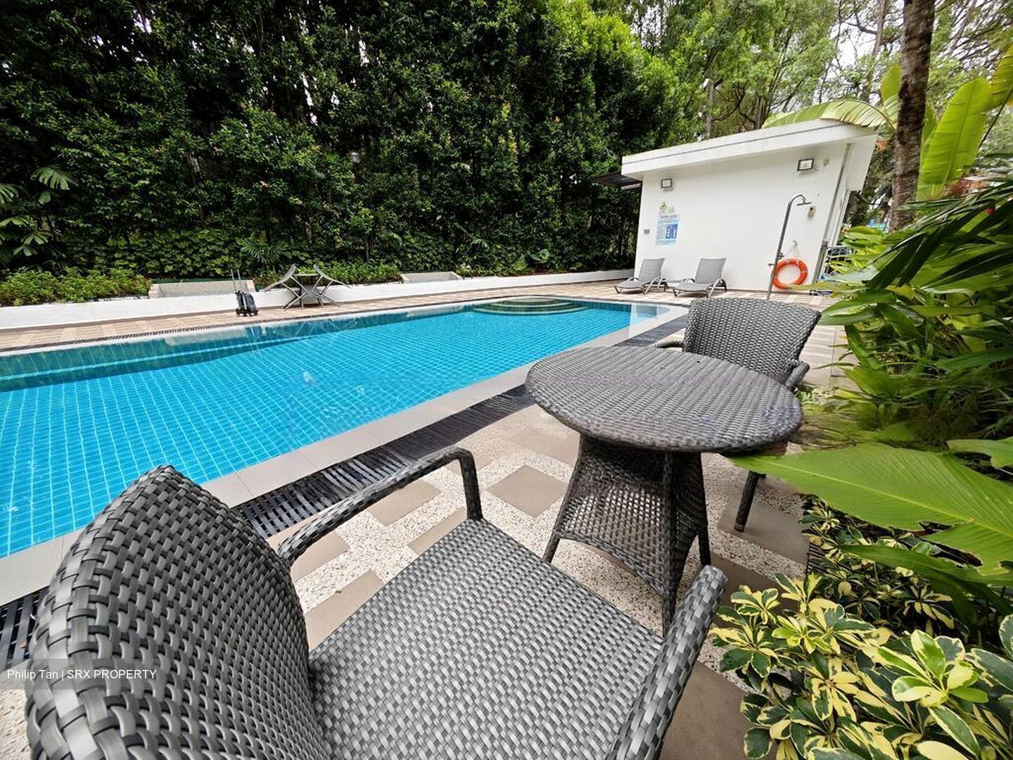 Holland Hill Park (D10), Condominium #519043511